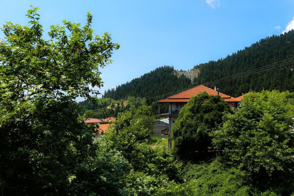 Hotel Elatofilito Athamanio Esterno foto